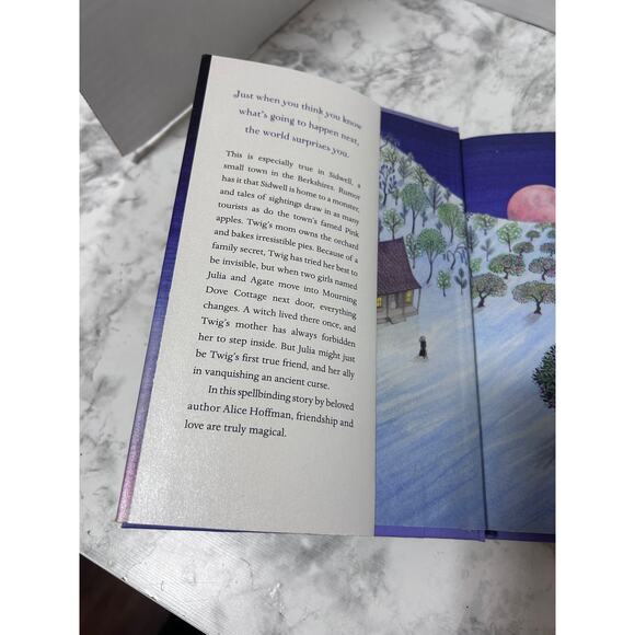 Nightbird: Alice Hoffman Bewitching Hardcover Book 199 Pages Love & Friendship - Picture 7 of 14